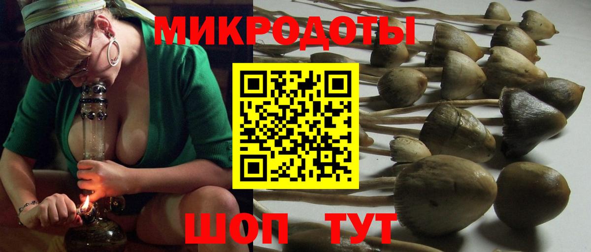 Галлюциногенные грибы MAGIC MUSHROOMS Соль-Илецк
