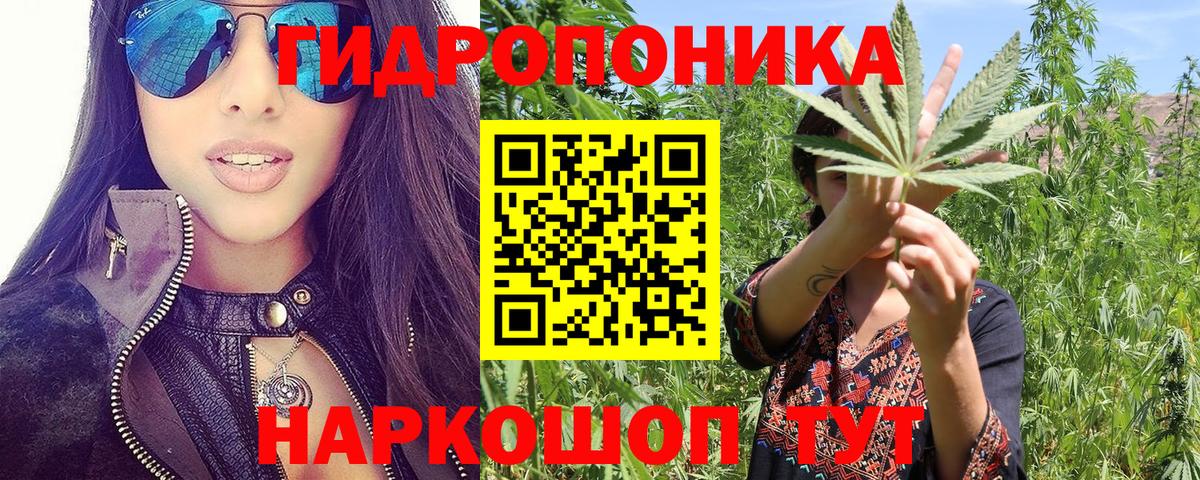 Бошки Шишки SATIVA & INDICA Соль-Илецк